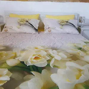  Bed & Breakfast B&bittle
